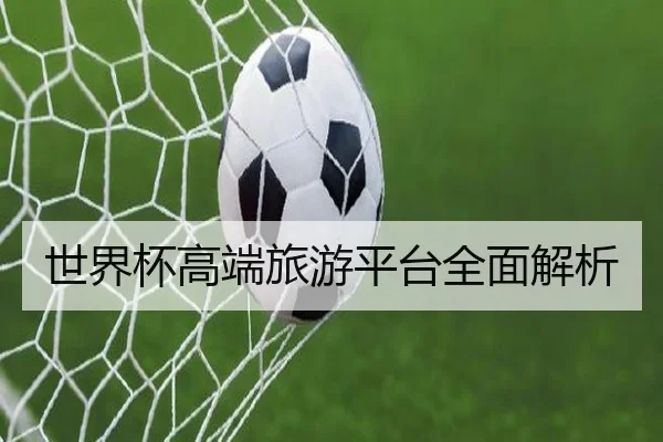世界杯高端旅游平台全面解析
