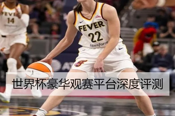 世界杯豪华观赛平台深度评测