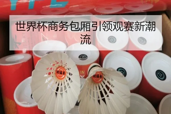 世界杯商务包厢引领观赛新潮流