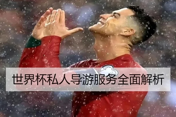 世界杯私人导游服务全面解析