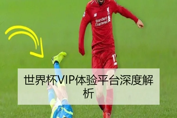 世界杯VIP体验平台深度解析