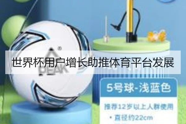 世界杯用户增长助推体育平台发展