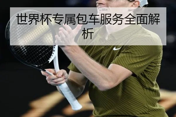 世界杯专属包车服务全面解析