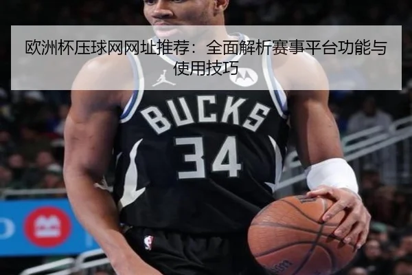 欧洲杯压球网网址推荐：全面解析赛事平台功能与使用技巧