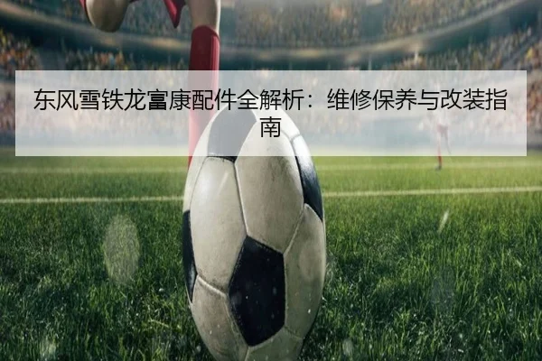 东风雪铁龙富康配件全解析：维修保养与改装指南
