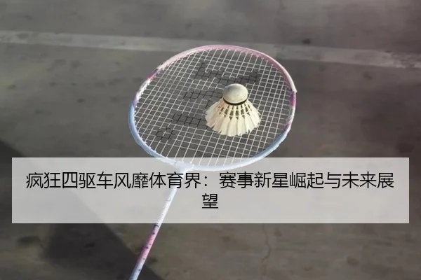 疯狂四驱车风靡体育界：赛事新星崛起与未来展望