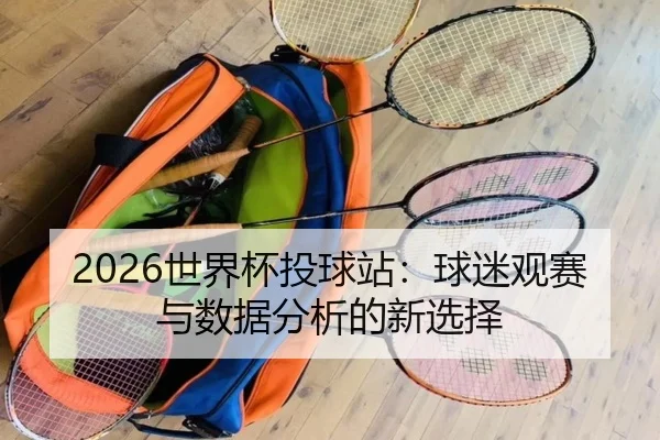 2026世界杯投球站：球迷观赛与数据分析的新选择