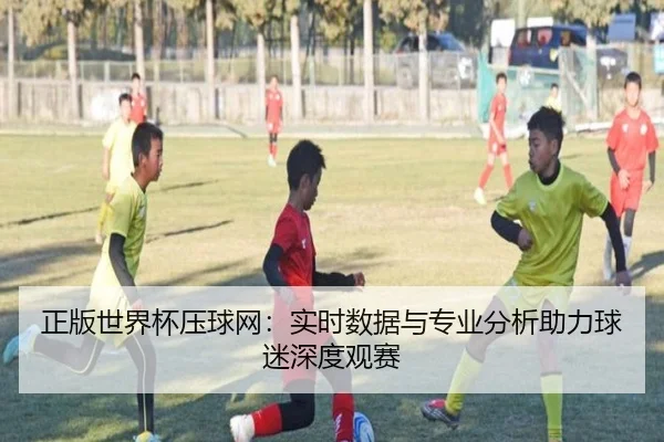 正版世界杯压球网：实时数据与专业分析助力球迷深度观赛